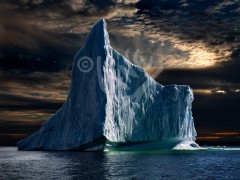 Durrells iceberg majesty